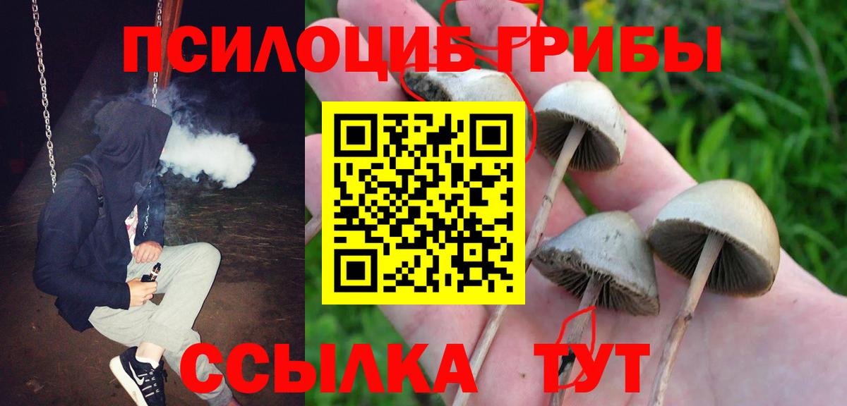 что такое наркотик  Псилоцибиновые грибы Psilocybe  Псилоцибиновые грибы прущие грибы  Вход с VPN  Еманжелинск 
